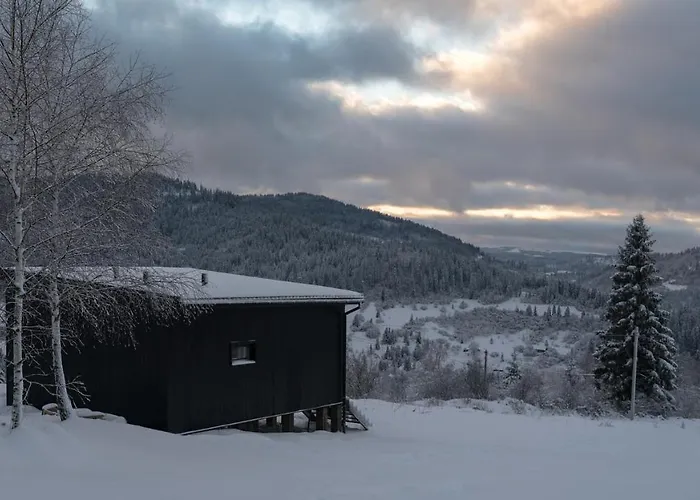 Chilloutzone: House With Free Jacuzzi And Cinema *